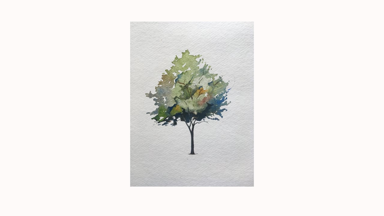 Trees