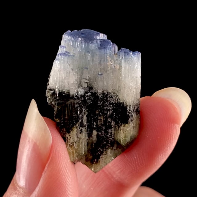 Dravite Tourmaline (doubly-terminated ''floater'') (unique coloration)