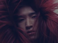 Vimeo Thumbnail