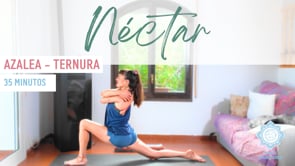 Yoga para cultivar la ternura | Abrazo todas mis partes 25 min
