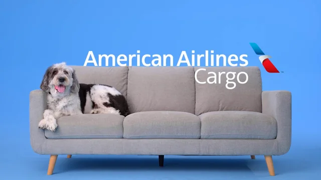 American airlines flying pets cargo best sale