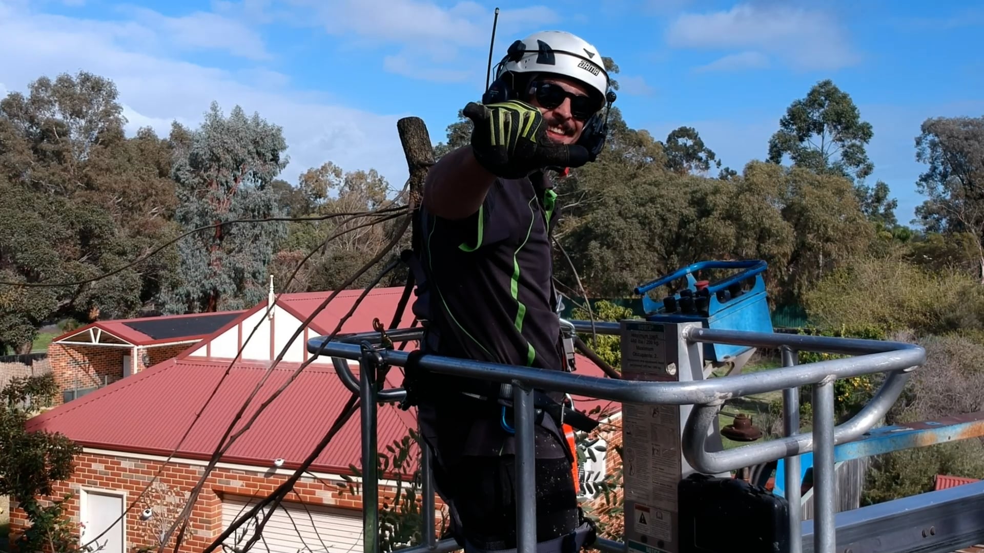 All Sawted Tree Services