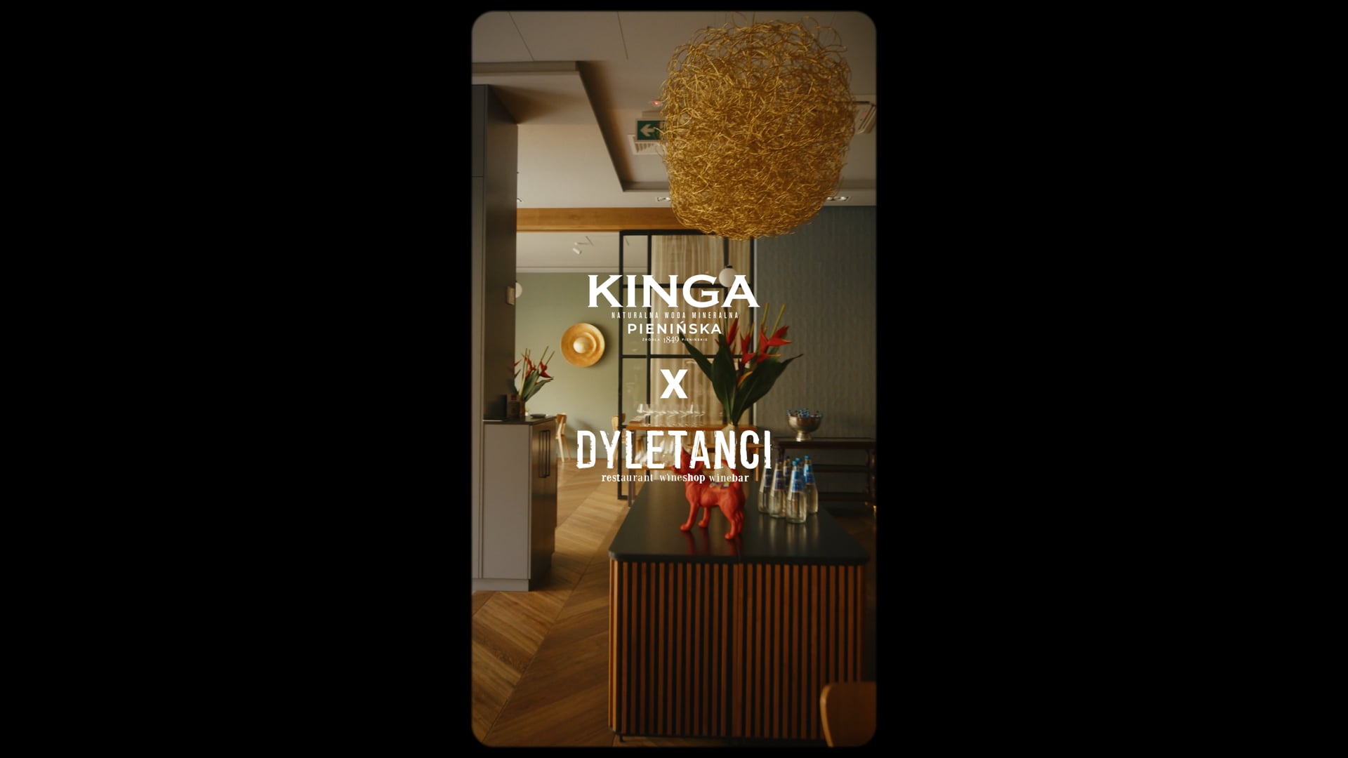 Kinga Pienińska x Dyletanci