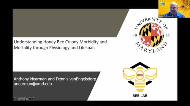 Understanding Honey Bee Colony Morbidity and mortality through Physiology and Lifespan with Anthony Nearman