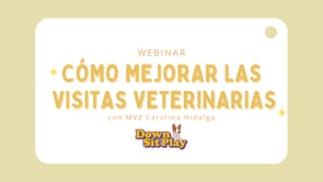 Webinar: Cómo mejorar las visitas veterinarias