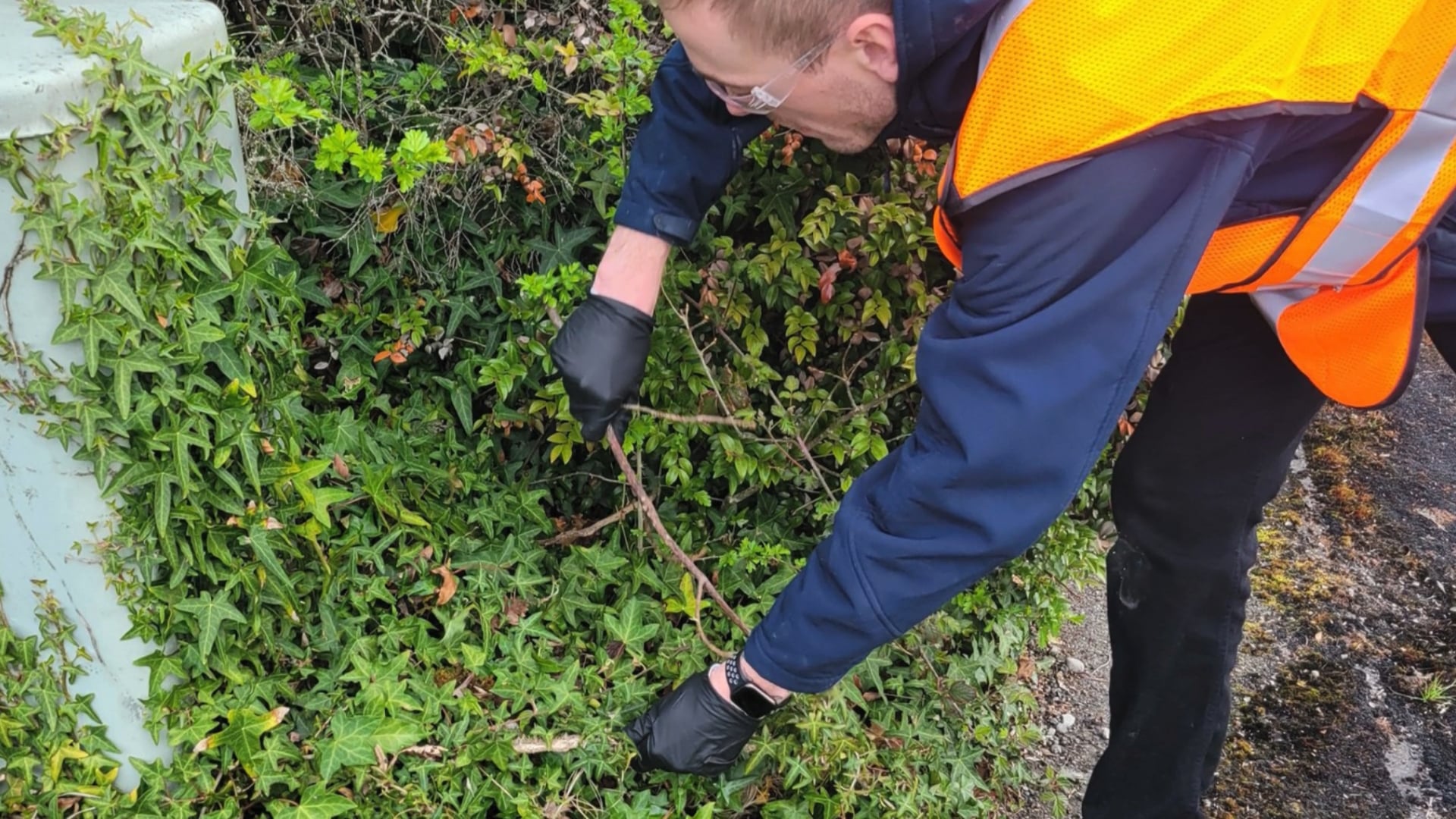 Prosser Construction