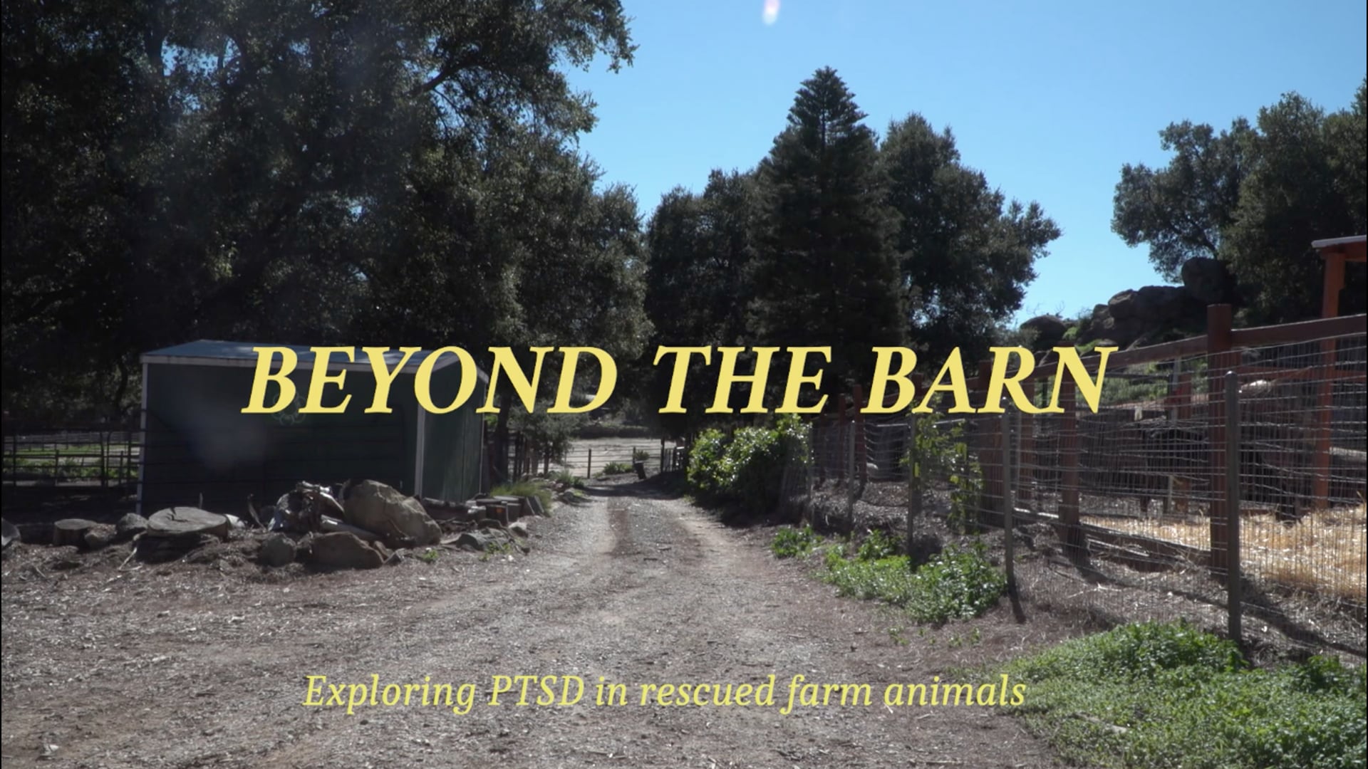 Beyond the barn: Exploring PTSD in rescued farm animals