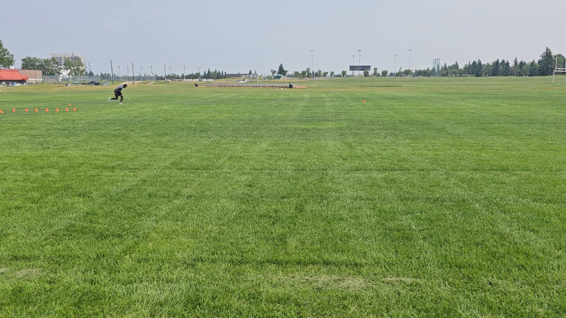 Watch matthew delpeche on PurpleShift