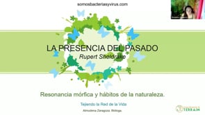 Campos y resonancia mórfica. Las aportaciones del biólogo Rupert Shaldrake.