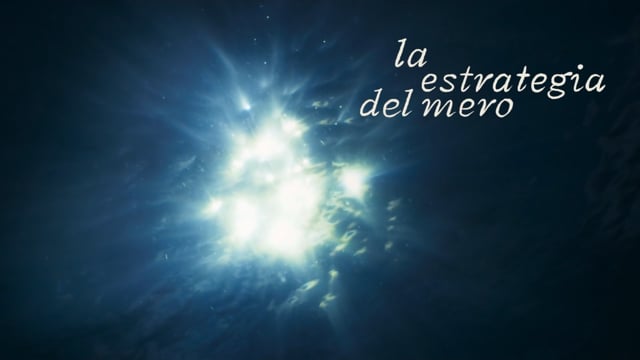 LA ESTRATEGIA DEL MERO