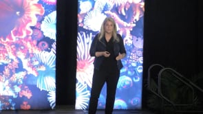 How Complexity Happens