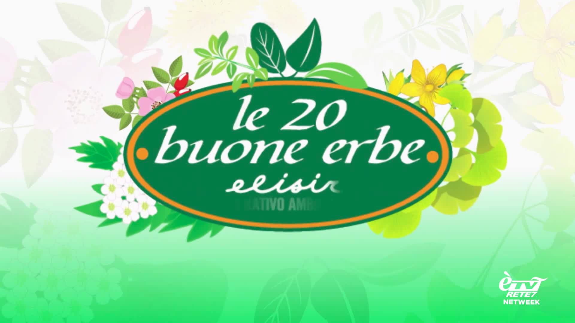 Il Pallone Nel 7 –  Puntata del 29/07/2024