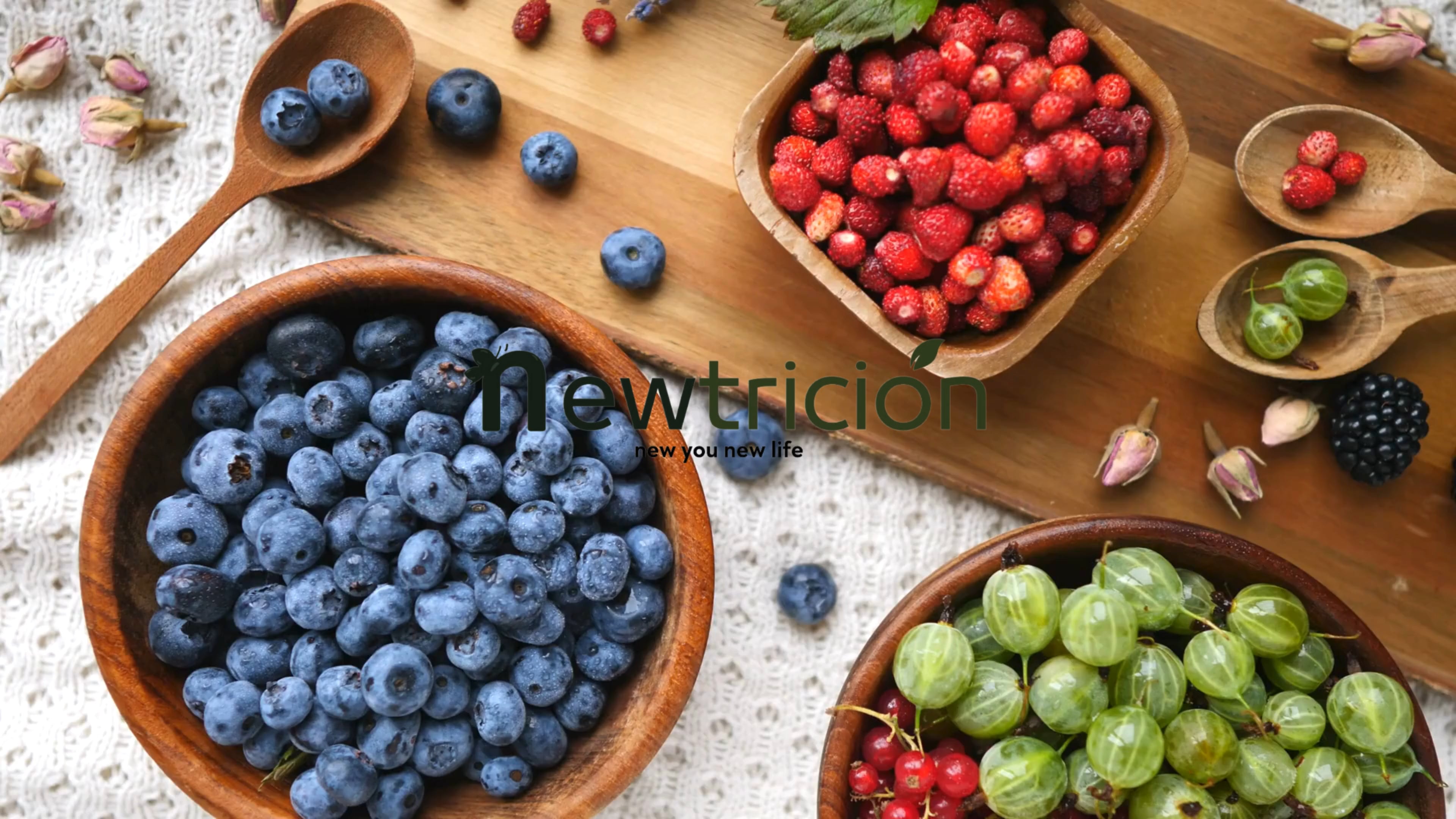 https://i.vimeocdn.com/video/1907734312-a2ca08c62e1322a78372b407ca2c51725debdd690787c46eafd3d1a473ed3ece-d
