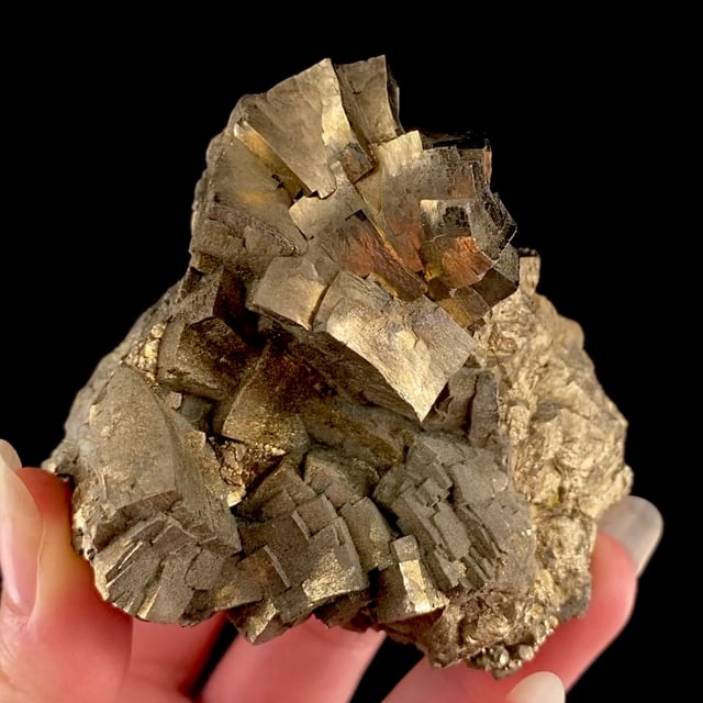 Pyrite (unusually ''curved'' crystals)