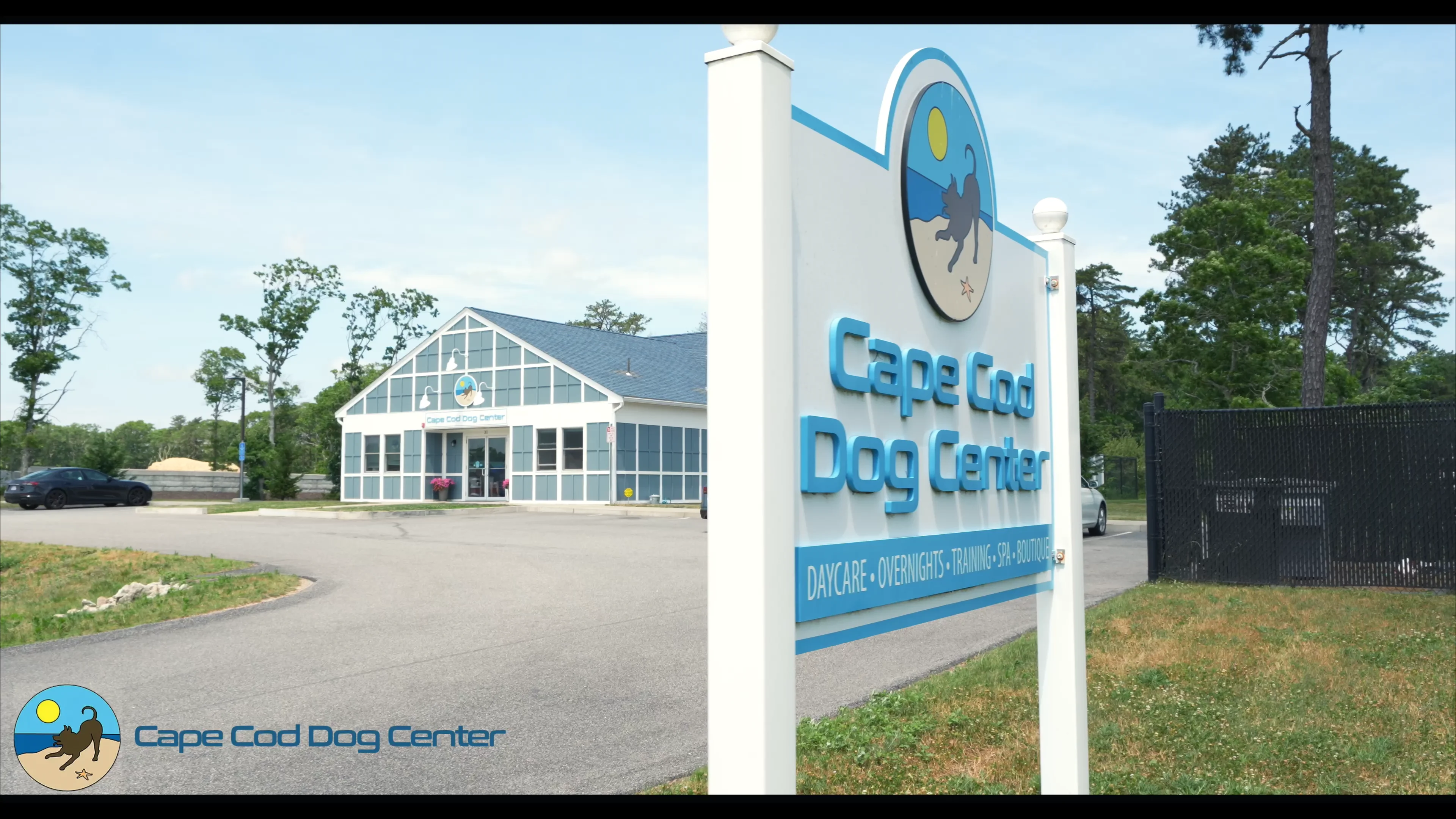 Pet Paradise Pet Boarding Near My Location Dog Boarding In Wimba