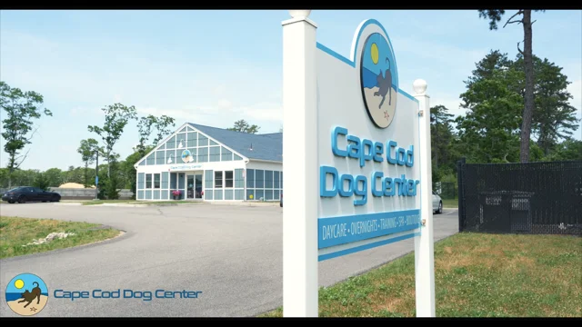 Dog shops training cape cod