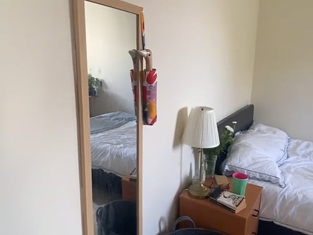 Looking for female flatmates for our flat in Angel Main Photo