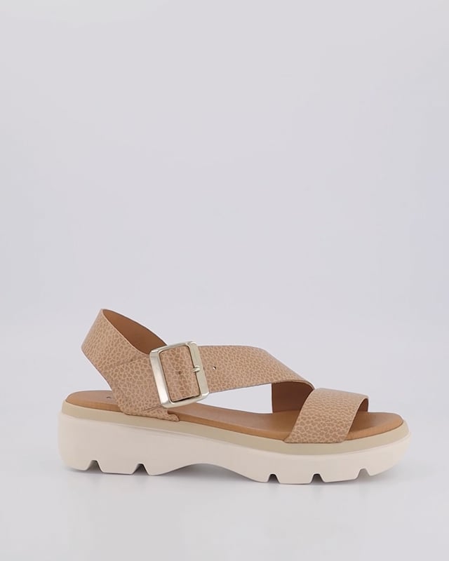 OLIVE / Blush