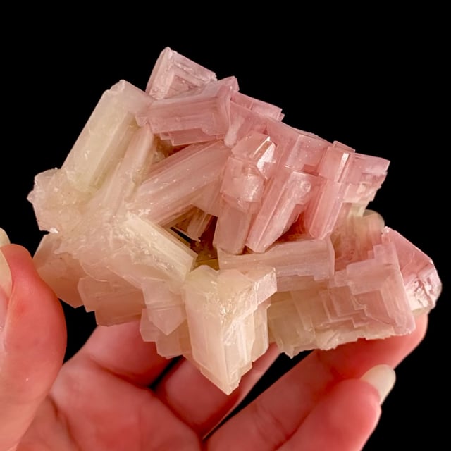 Halite (rare bi-colored crystals)