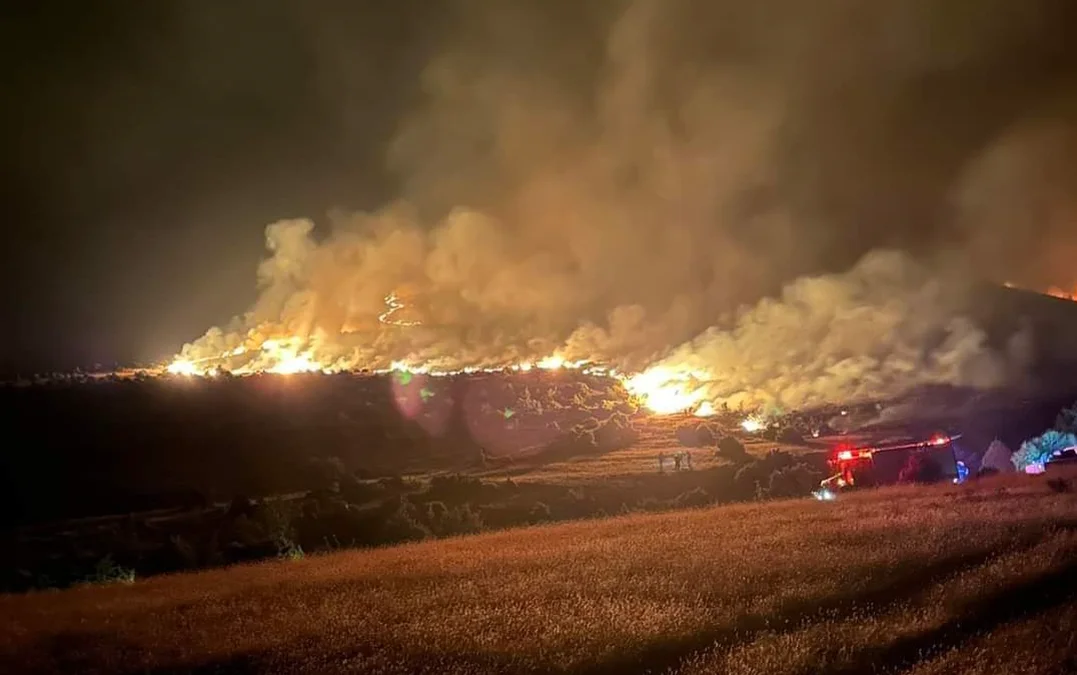 Φωτιά στις Σέρρες: Γιατί μαίνεται ακόμα η πυρκαγιά στο όρος Όρβηλος μετά...  | Ελλάδα Ειδήσεις