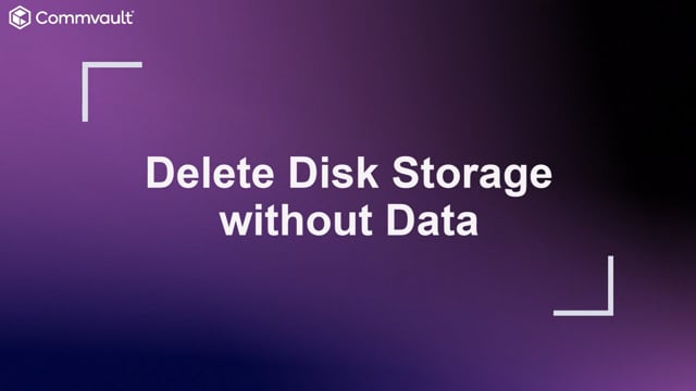 Delete Disk Storage without Backup Data