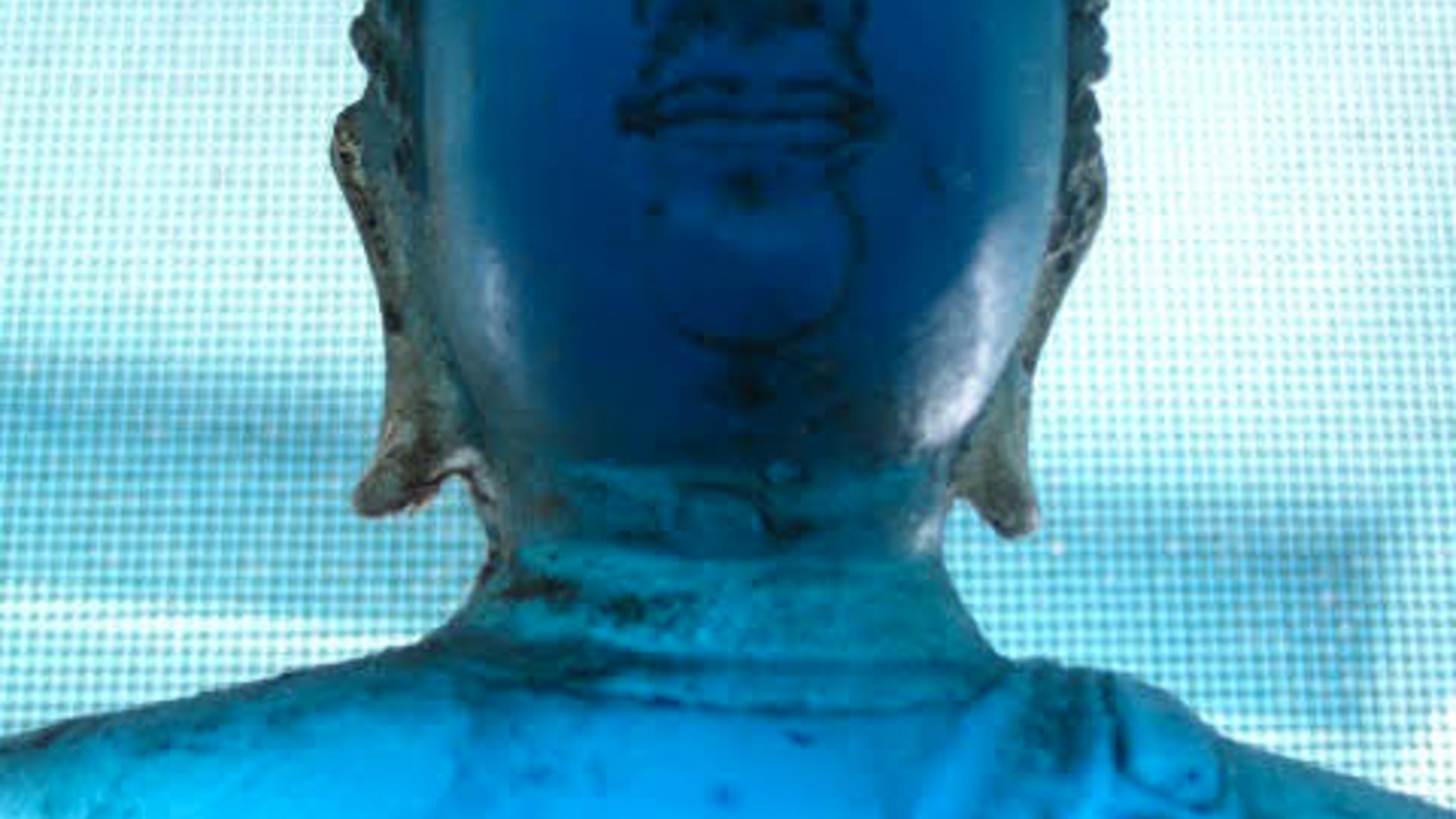 2024 July 31: Guidelines for Living Well