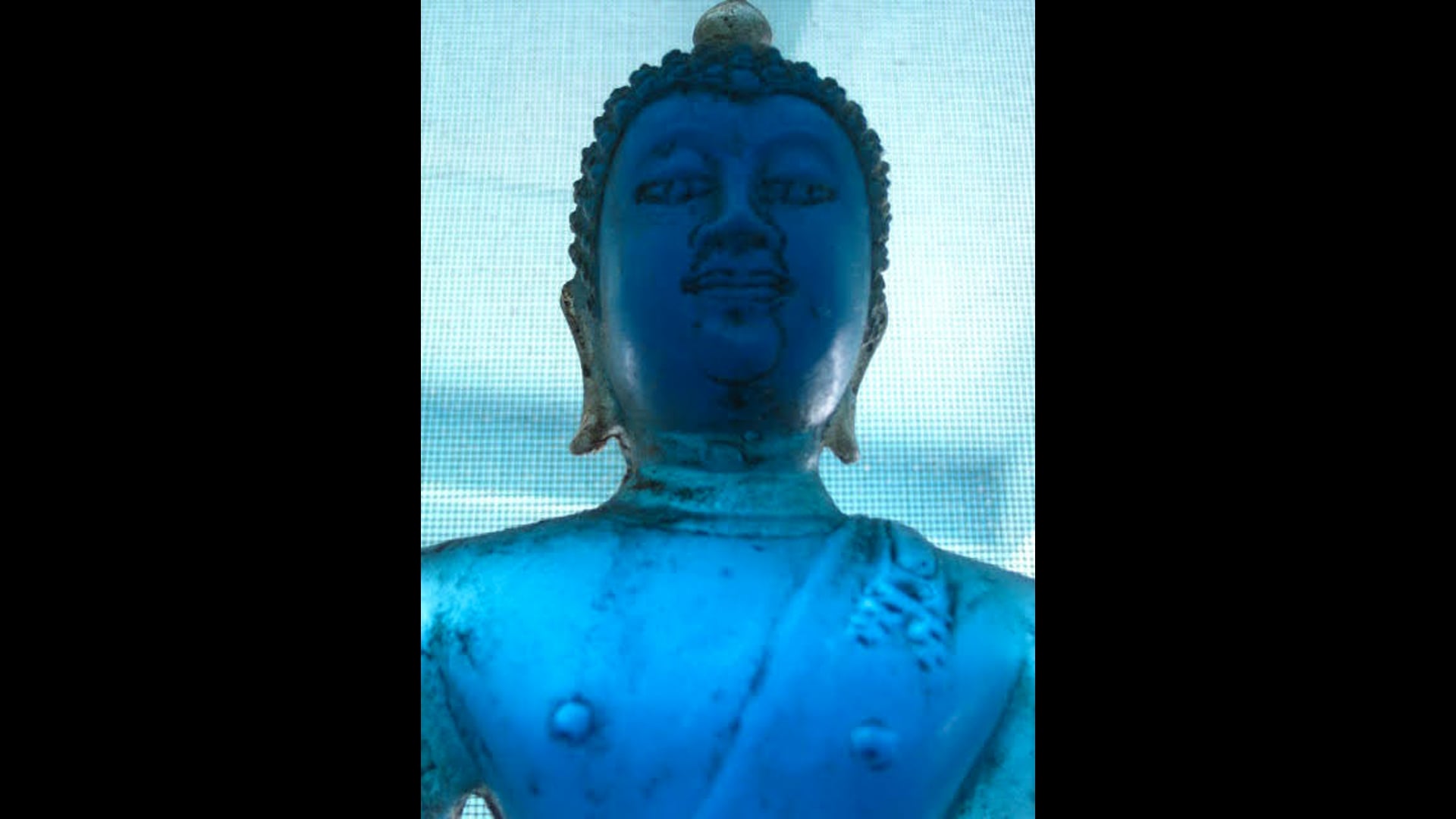 2024 July 31: Guidelines for Living Well