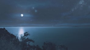 social header