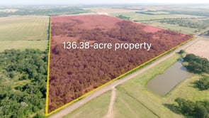 House and 136.38 acres for sale