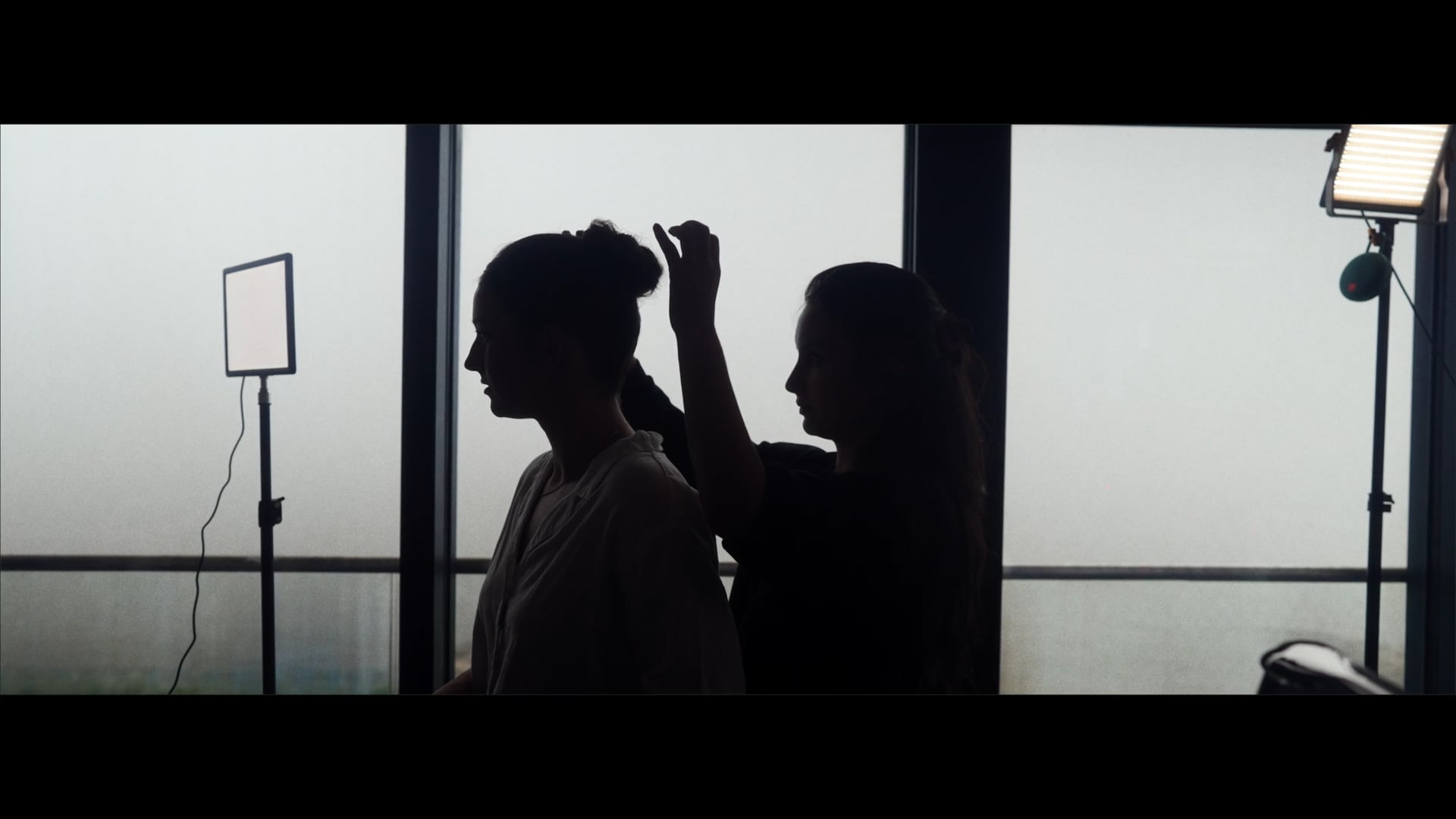 Ally and Dan Music Video