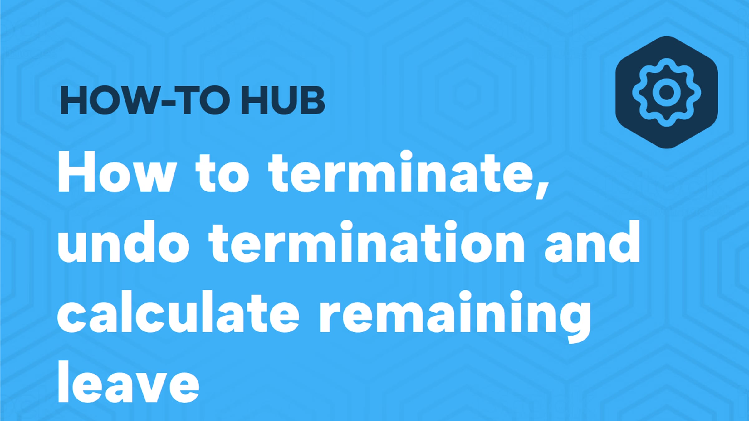 How to terminate, undo termination and calculate remaining leave ...