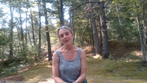 Holding Space, Pausing to Breathe