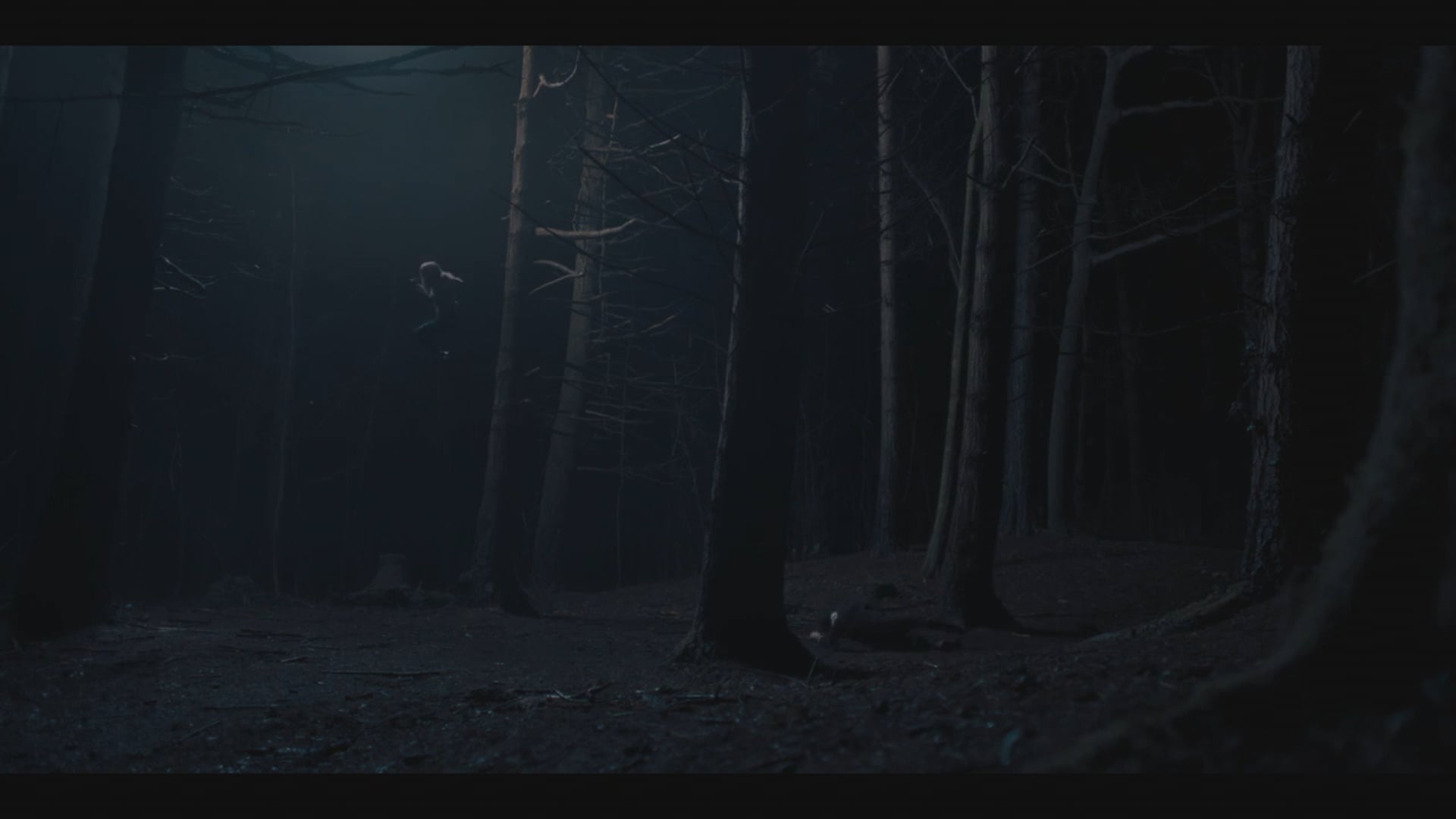 A DISCOVERY OF WITCHES • Love Scene