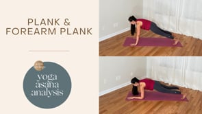 Plank & Forearm Plank Yoga Asana Analysis