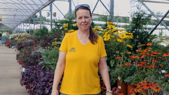 10 Keystone Perennials to Grow in Northeast Ohio