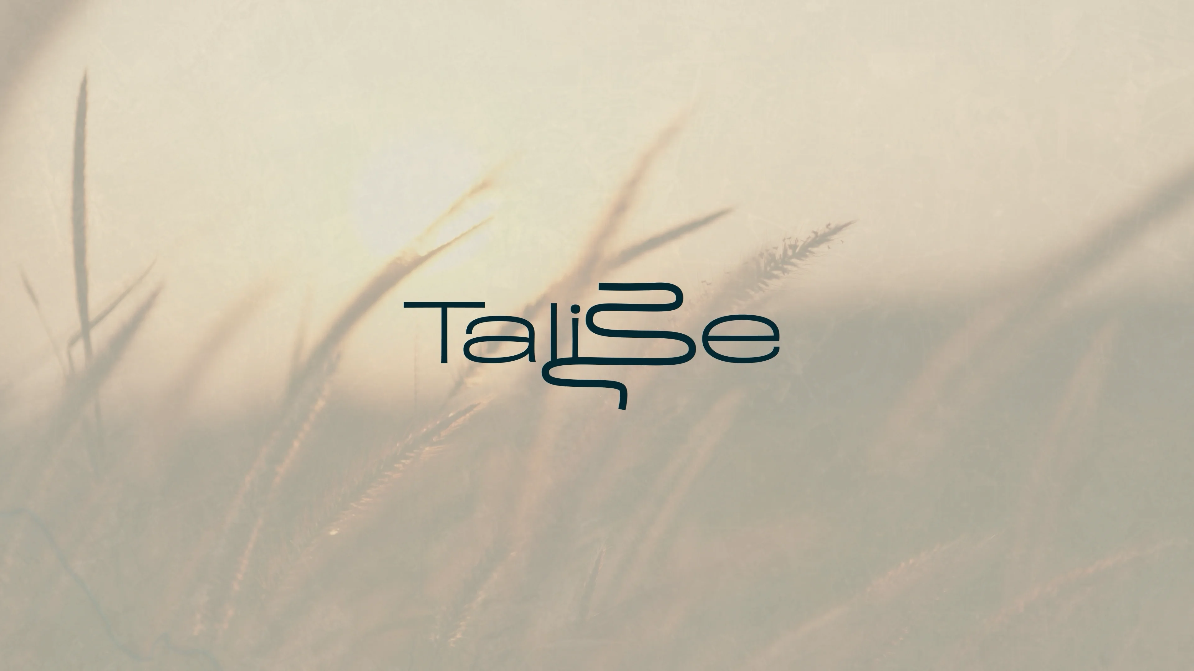 Talise - Community Marketing Video