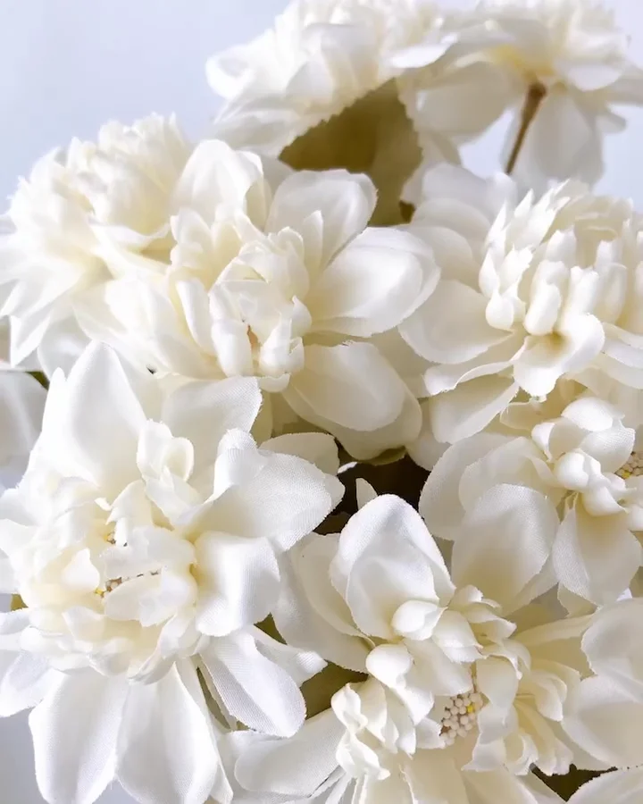 花さま専用 ‍ ‍ GINZA 456 つなぐプロジェクト 「願いツナグサクラ」 ‍ 銀座で