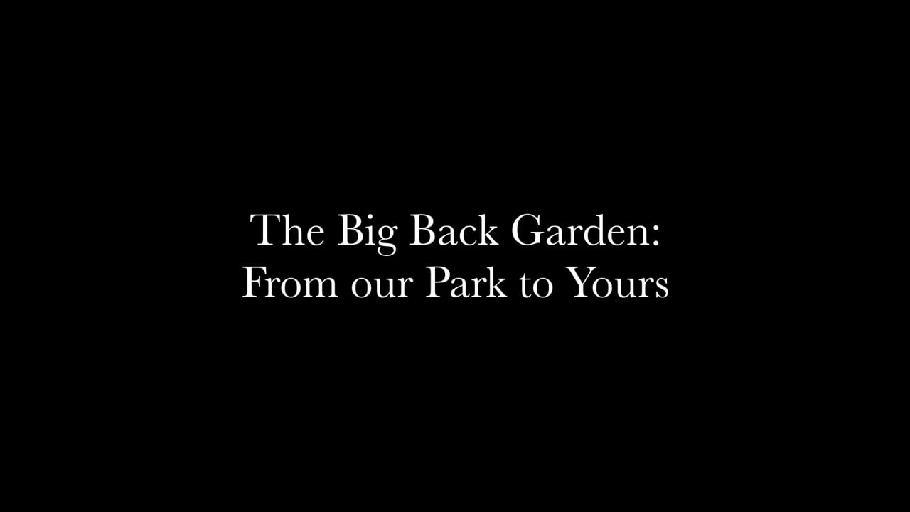 The Big Back Garden: From Our Park To Yours, a video by Julie Cumming, Christine Kingsley, Susan P. Mains and Jan Merchant