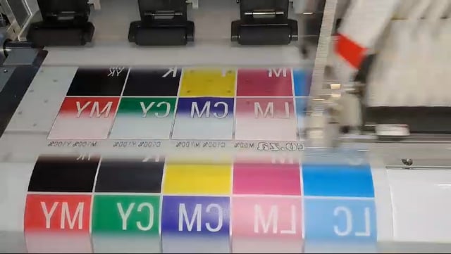 Direct-to-Film printing