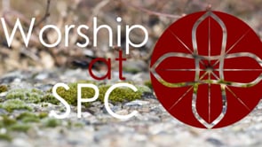 Worship at SPC // August 11, 2024