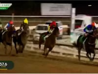 Panthalassa Gr.1 Saudi Cup