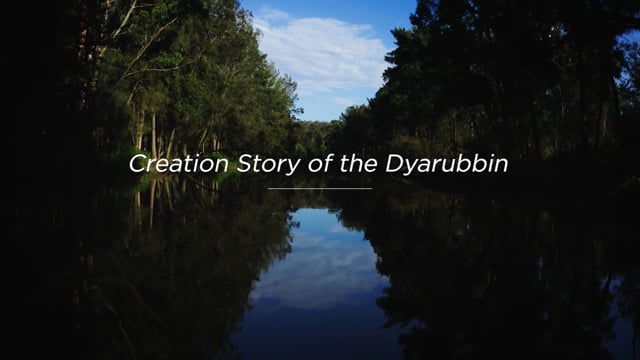 Landcom | Creation Story of the Dyarubbin