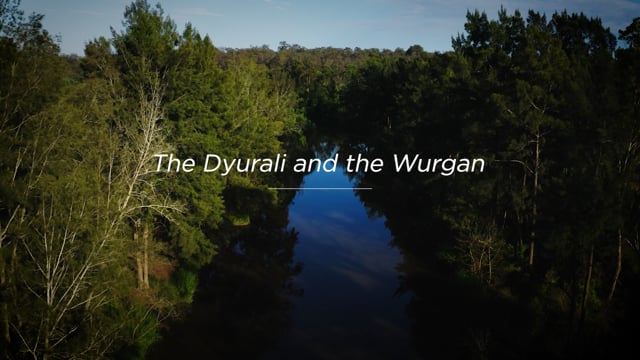 Landcom | Dreamtime Story: The Dyurali and the Wurgan