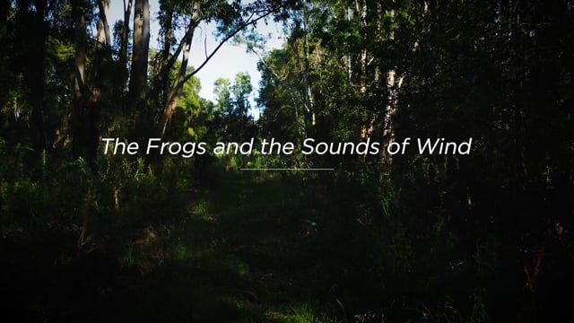 Landcom | Dreamtime Story: The Frogs and the Sounds of Wind