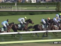 Panthalassa Gr.3 Fukushima Kinen
