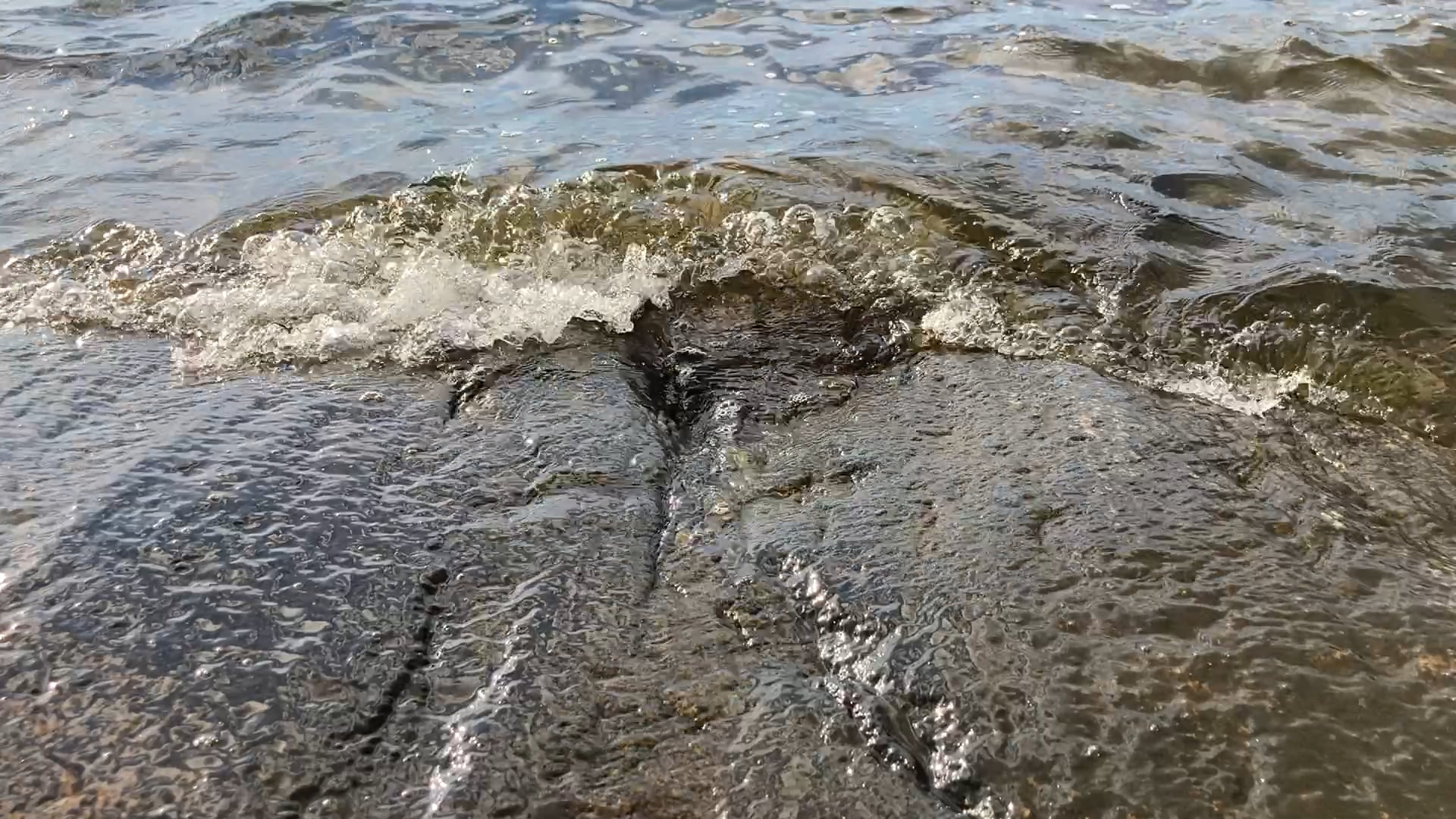 https://i.vimeocdn.com/video/1911004115-d36ab52dc3704eaf6cfd3502c4b36269af0c0fa147eab327c7043807eeabdf0e-d