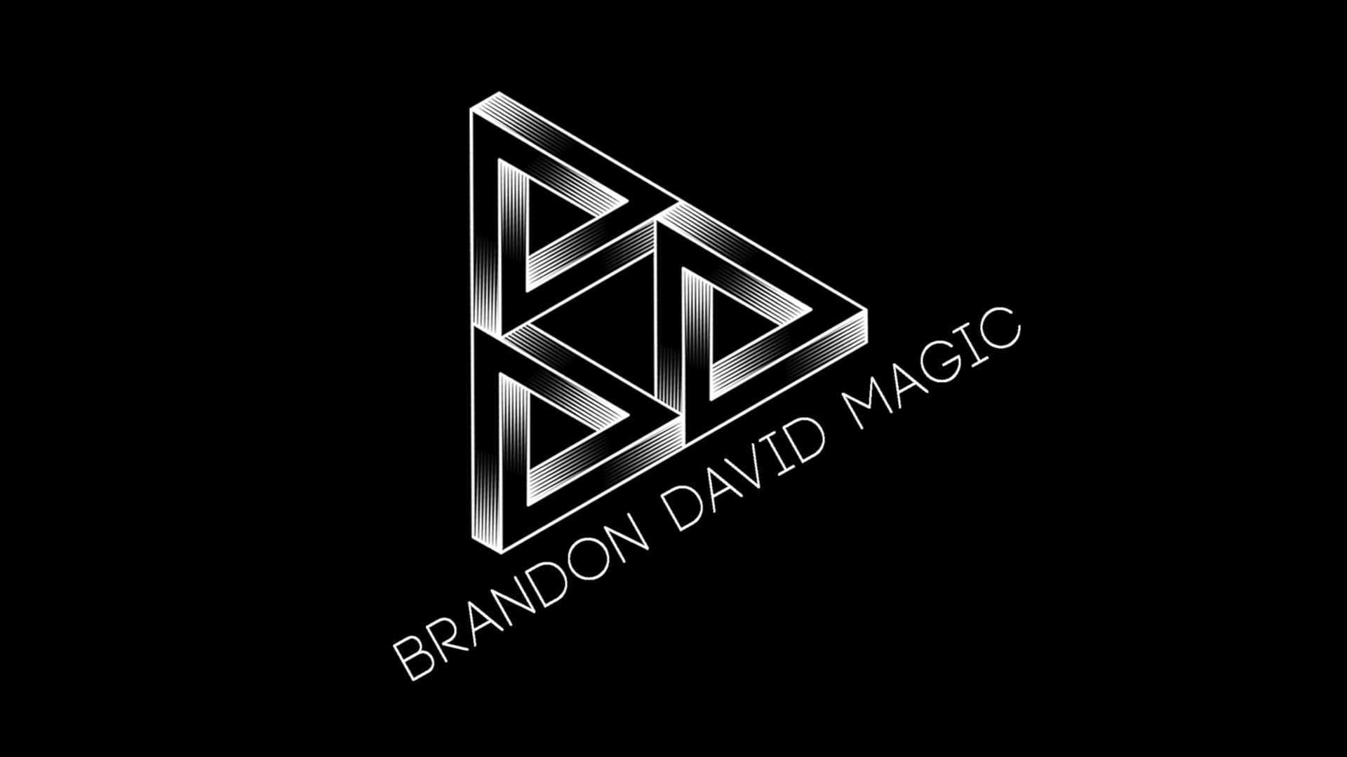 Promotional video thumbnail 1 for Brandon David Magic