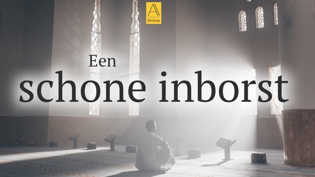 Een schone inborst