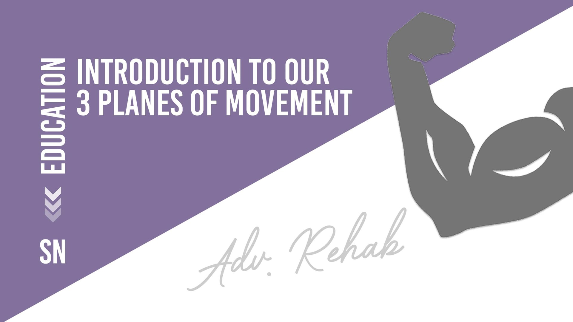 Introduction to our 3 planes of movement