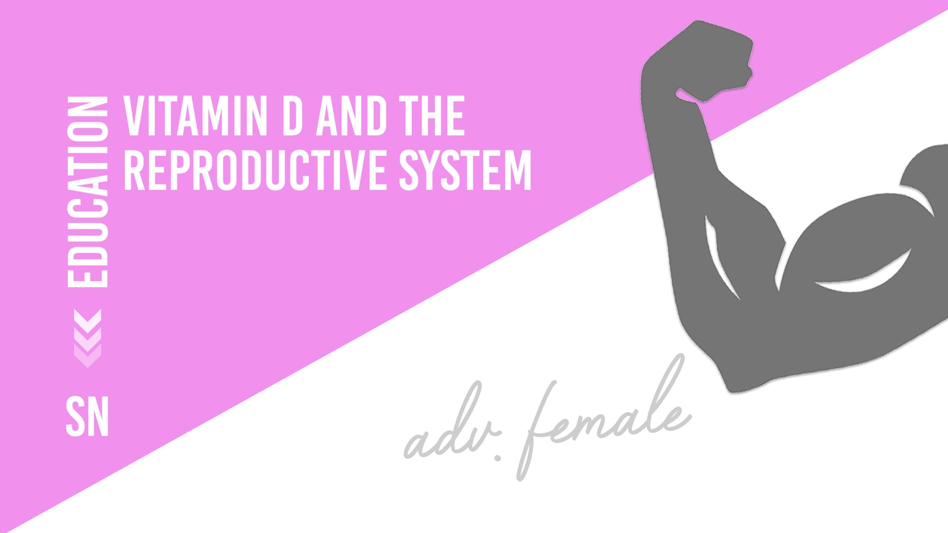 Vitamin D and the Reproductive System